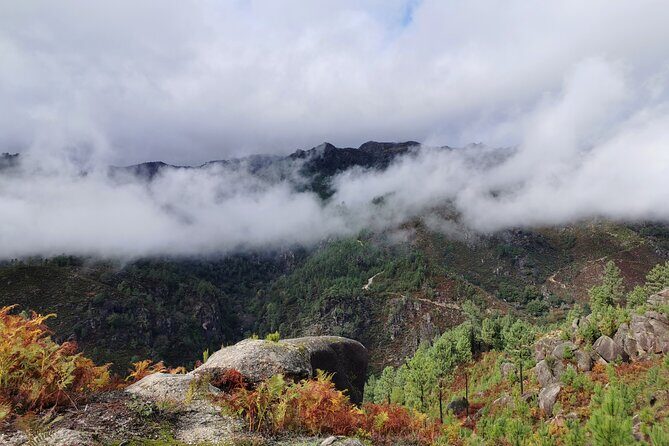 Private / tailor made experience in Gerês National Park - Final Thoughts