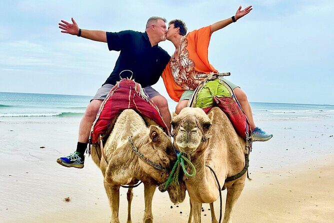 Private Tangier Full day Tour - Exploring the Medina: Tangier’s Historic Heart