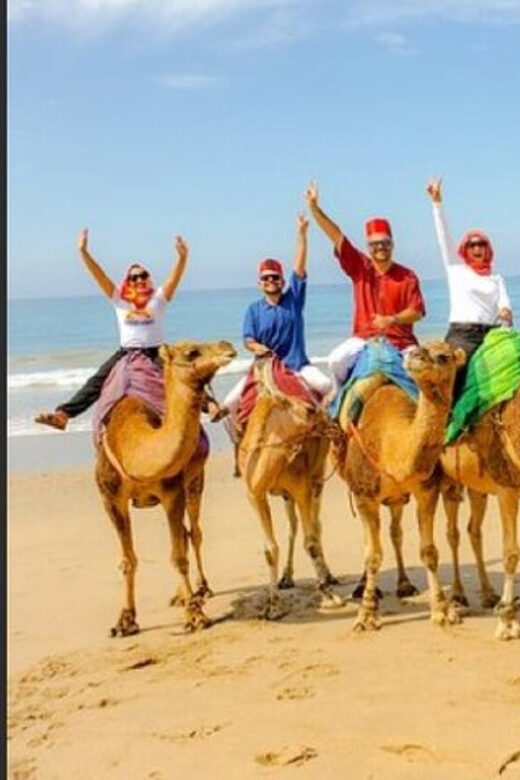 Private Tangier Tour from Gibraltar including Camel & Lunch - Is This Tour Worth the Price?