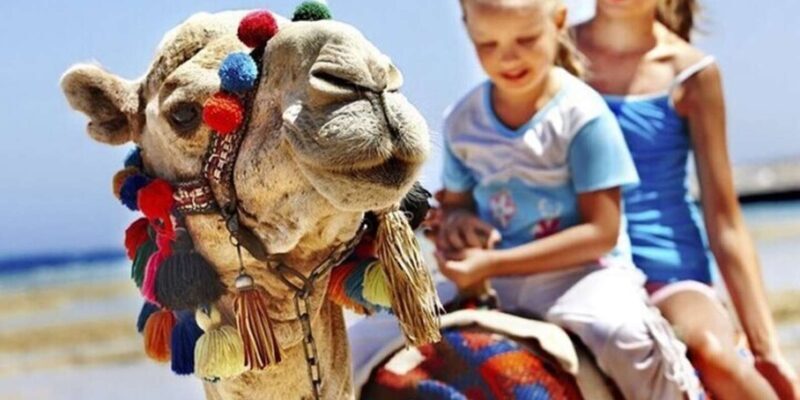 Private Tangier Tour from Gibraltar including Camel & Lunch - Who Should Consider This Tour?