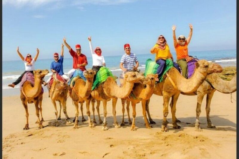 Private Tangier Tour with Lunch and Camel Ride - Pickup and Private Transportation