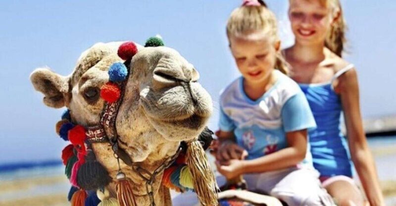 Private Tangier Tour with Lunch and Camel Ride - Practical Notes on the Camel Ride