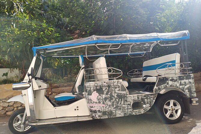 Private tapas tuk tuk tour through Lisbon - Who Should Consider This Tour?