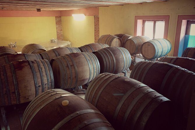 Private Tasting Barbaresco Experience with Typical Products - Who Is This Tour Best Suited For?