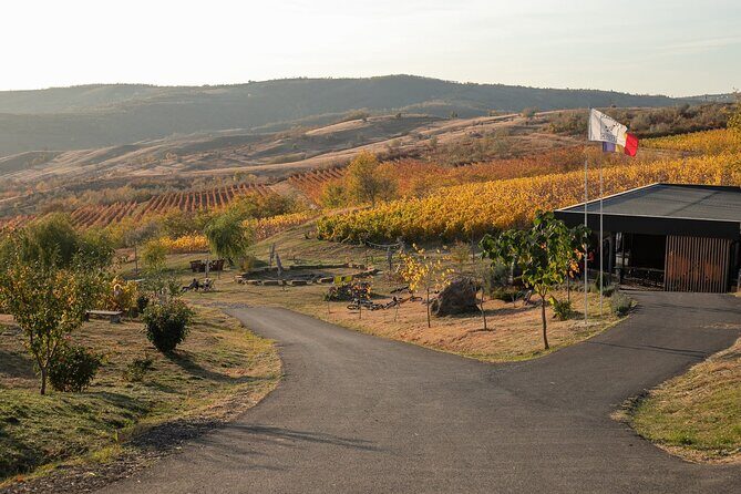 Private Tasting Expedition Along Romanias Most Famous Wine Route - Key Points
