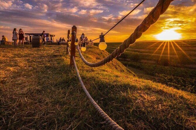 Private Tasting Expedition Along Romanias Most Famous Wine Route - An In-Depth Look at the Experience