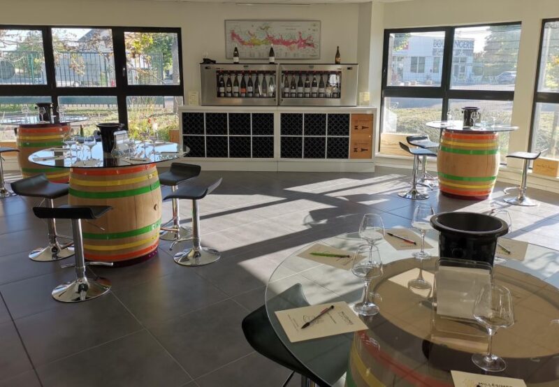 Private Tasting in Beaune : The Best of Burgundy Wines - Who Would Enjoy This Tour?