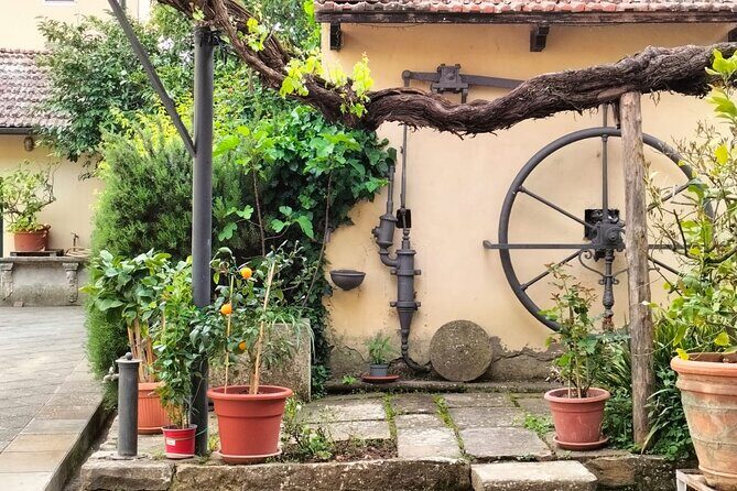 Private tasting of organic wines in the cellar in Arezzo - Discovering Organic Wines in Arezzo: A Personal Look at the Private Cellar Tasting