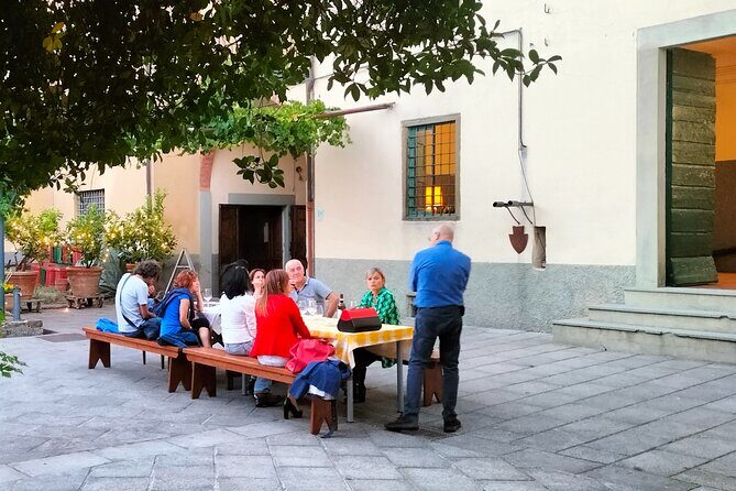 Private tasting of organic wines in the cellar in Arezzo - The Value for Money