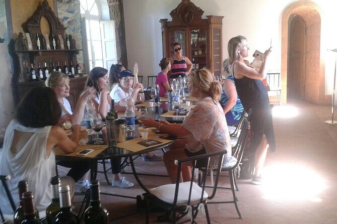 Private tasting of wines and oil to discover Lucca Ducale - Practicalities and Tips