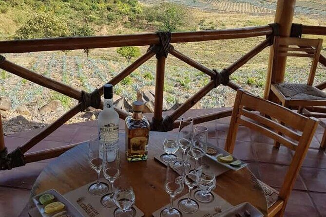 Private Tasting Tour Hacienda de Oro, Amatitan Jalisco - What’s Included and What’s Not