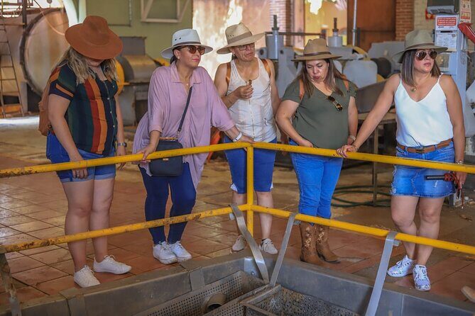 Private Tasting Tour Hacienda de Oro, Amatitan Jalisco - Who Should Consider This Tour?