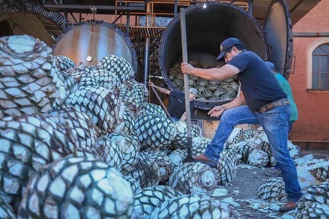 Private Tasting Tour Hacienda de Oro, Amatitan Jalisco - Final Thoughts