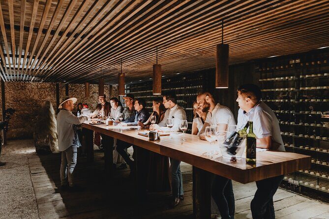 Private Tasting with Pairing in a Cava in Aguascalientes - Key Points: