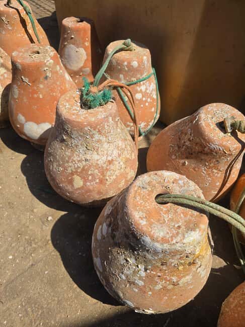 Private Tavira Jeep Tour - Salt Pans, Nature & Santa Luzia - Exploring Tavira’s Natural and Cultural Landscape