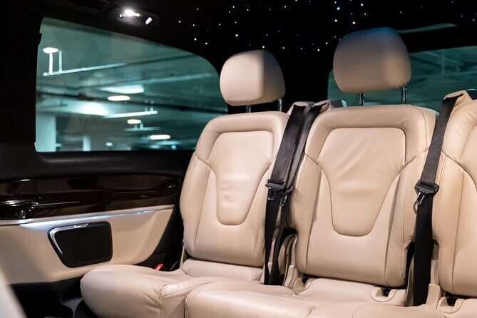 Private Taxi to Keukenhof Tulip Fields & Flowers From Amsterdam - In-Depth Look at the Tour Experience