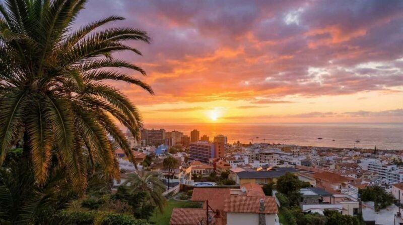 Private Teide & North Tenerife: Volcano, Valleys & Old Towns - The Drive and the Highlights