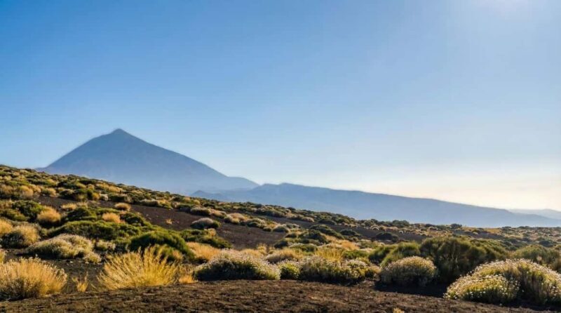 Private Teide & North Tenerife: Volcano, Valleys & Old Towns - La Orotava: The Historic Heart