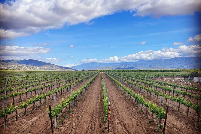 Private Temecula Wine Tour from Murrieta - FAQs