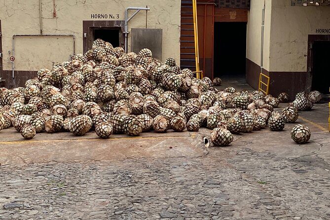 Private Tequila Tour - What Makes This Tour Stand Out?