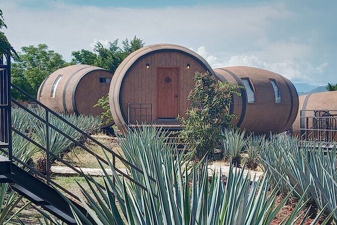 Private Tequila Tour in Guadalajara - A Deep Dive into the Tour Itinerary