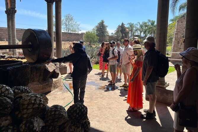 Private Tequila Tour with Local Expert - The Bottom Line: Who Is This Tour Best For?