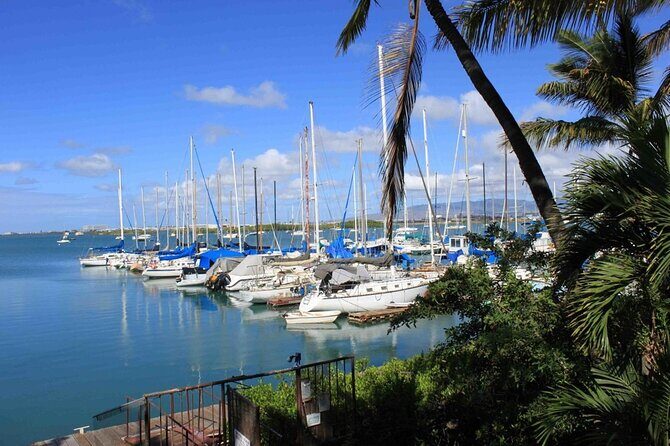 Private Tiki Bar Sunset Cruise in Honolulu - What Is the Tour All About?