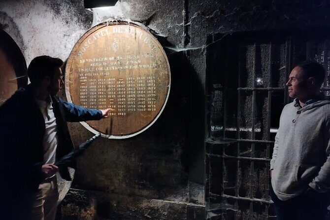 Private Tiles Workshop Tour: Wine Tasting & Sesimbra from Lisbon - Final Thoughts: Is This Tour Right for You?