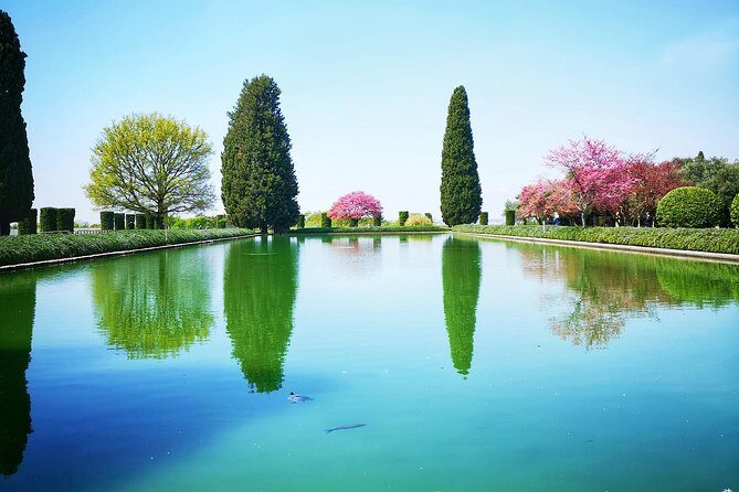 Private Tivoli Day Trip from Rome: Outstanding Villas - The Value of This Tour