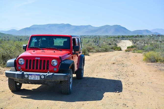 Private Todos Santos Jeep - What Travelers Say