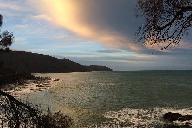 [PRIVATE TOUR] 12 Apostles | Great Ocean Road | Day Trip - What Makes This Tour Stand Out?