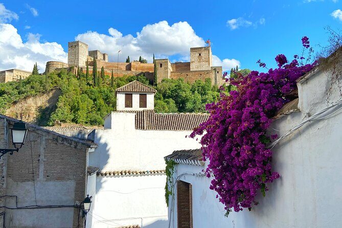 Private Tour Albayzin and City Center (Entrance fees included) - The Magnificent Granada Cathedral