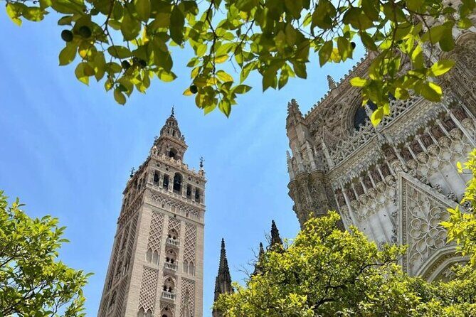 Private Tour Alcazar Seville Cathedral and Giralda Tower Climb - Final Thoughts