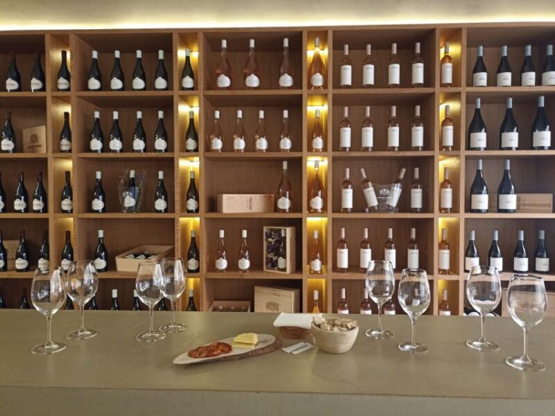 Private Tour Alentejo: Évora, WineTasting and Monsaraz - Exploring the Private Tour Alentejo: Évora, Wine Tasting, and Monsaraz