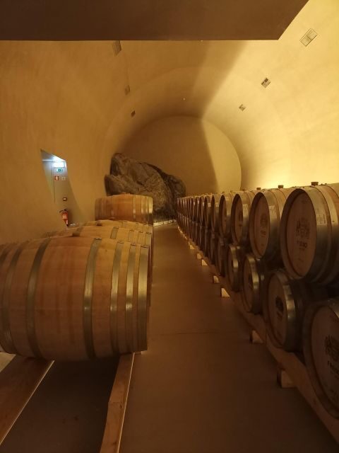 Private Tour Alentejo: Évora, WineTasting and Monsaraz - Key Points