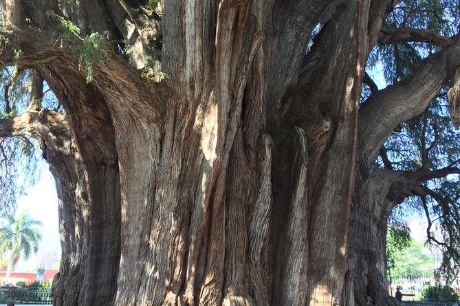 Private Tour, all inclusive: Tlacochahuaya, Mezcal, Teotitlán del Valle - Frequently Asked Questions