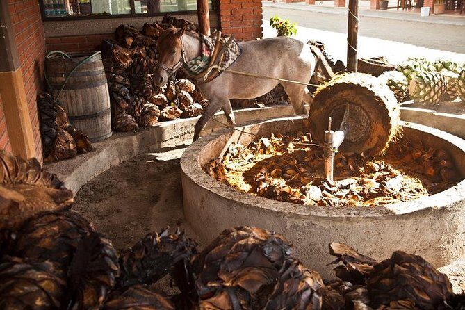 Private Tour, all inclusive: Tlacochahuaya, Mezcal, Teotitlán del Valle - Wrapping It Up