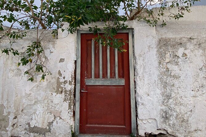 Private Tour: All The Highlights Of Mykonos You Have To See - Final Thoughts