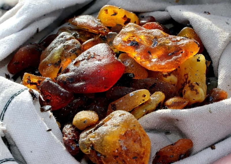 Private Tour: Amber Catching in Curonian Spit from Klaipeda - Key Points