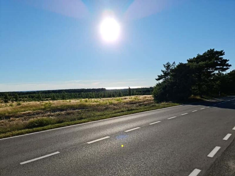 Private Tour: Amber Catching in Curonian Spit from Klaipeda - What to Expect on the Tour