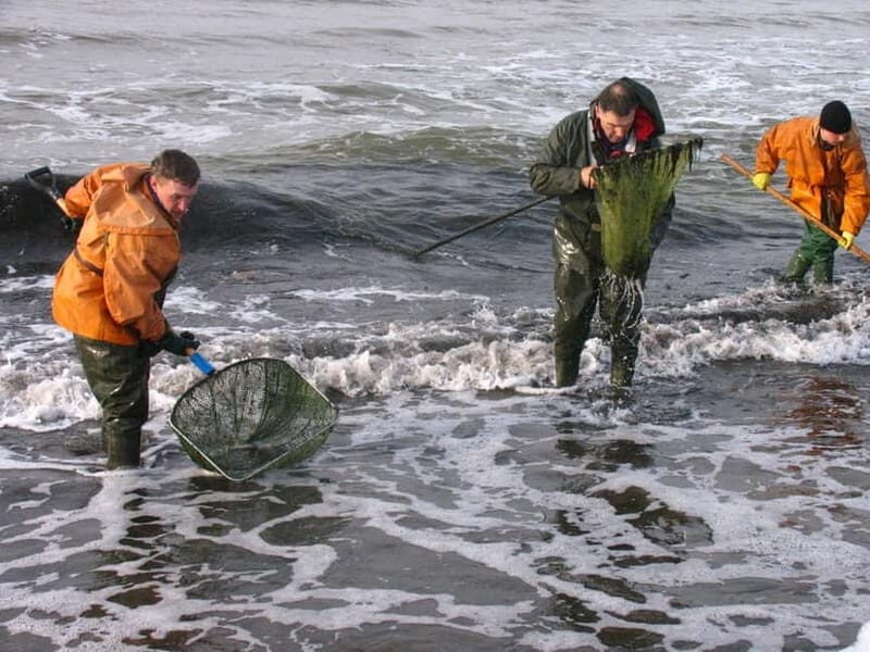 Private Tour: Amber Catching in Curonian Spit from Klaipeda - Authentic Experiences and Traveler Feedback
