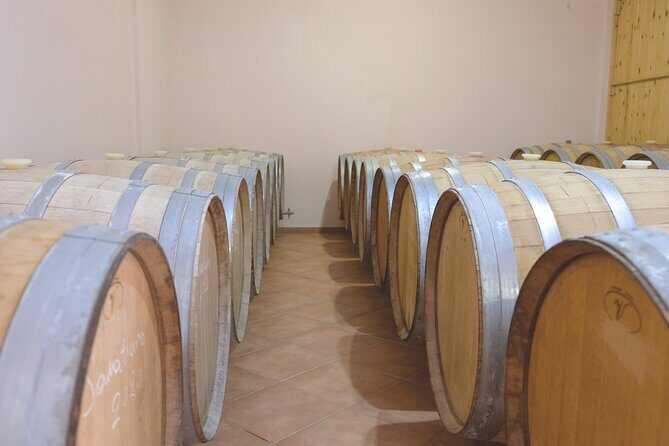 Private Tour and Tasting at Zeginis Winery - A Closer Look at What the Tour Offers