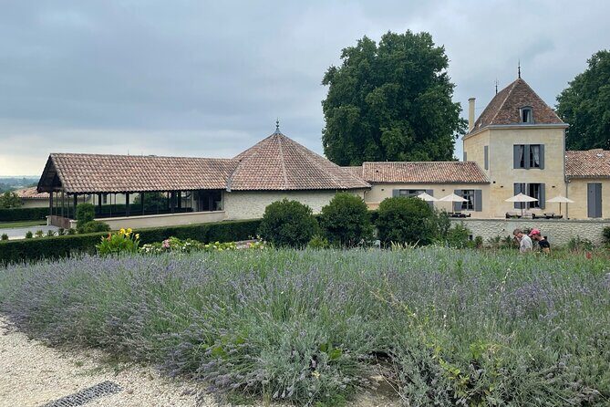 Private Tour and Tastings in St-Emilion: Grands Crus and Monuments - What to Expect from the Tour: A Deep Dive