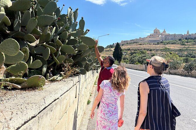 Private Tour Around Malta - Who Is This Tour Best For?