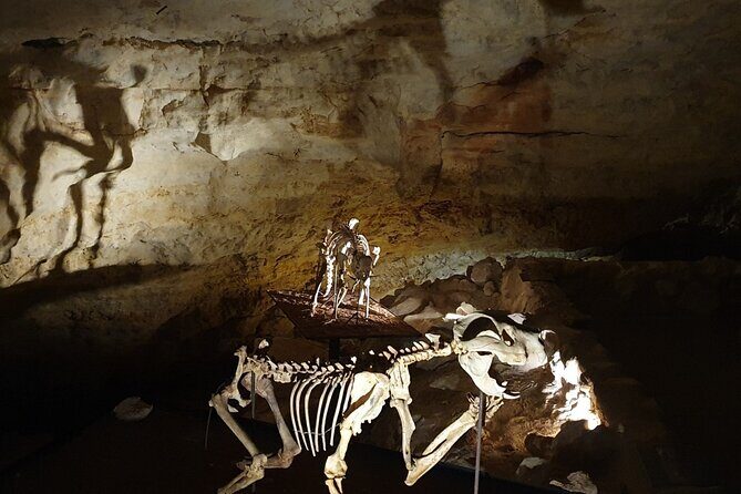 Private Tour at Naracoorte Caves - Exploring the Private Tour at Naracoorte Caves: A Detailed Look