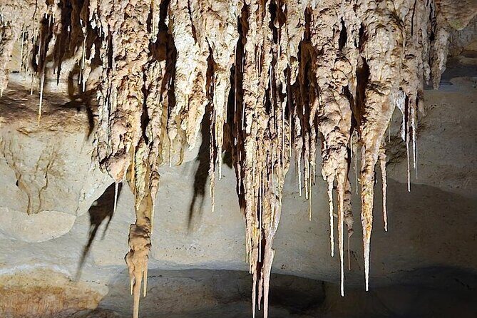 Private Tour at Naracoorte Caves - Final Thoughts