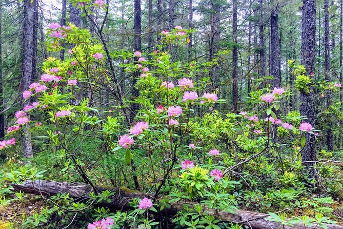 Private Tour at The Hood-Columbia Loop: Timberline, Orchards, and Waterfalls - Cultural and Historic Stops