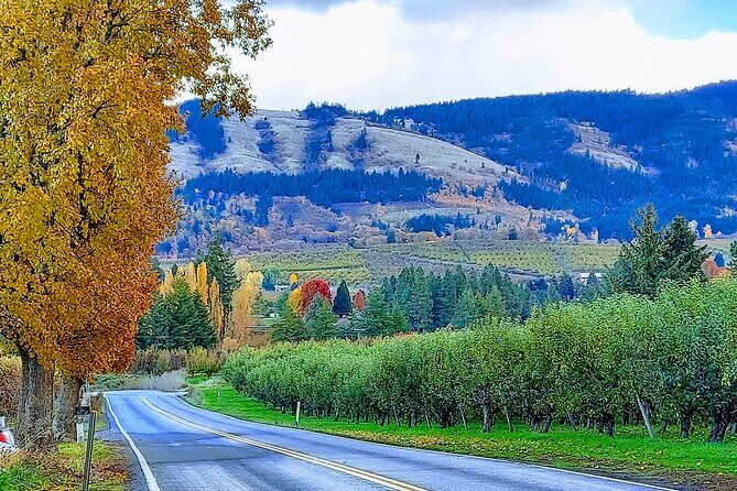 Private Tour at The Hood-Columbia Loop: Timberline, Orchards, and Waterfalls - The Experience of a Private Tour