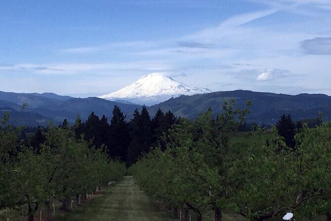 Private Tour at The Hood-Columbia Loop: Timberline, Orchards, and Waterfalls - Authentic Feedback from Travelers