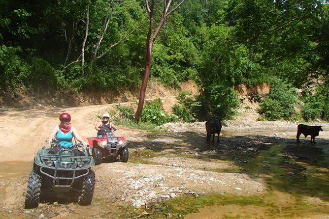 Private Tour: ATV SIERRA MADRE rivers with Tequila Tasting - Who Is This Tour Best For?
